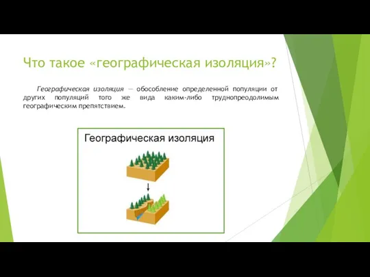 Что такое «географическая изоляция»? Географическая изоляция — обособление определенной популяции от