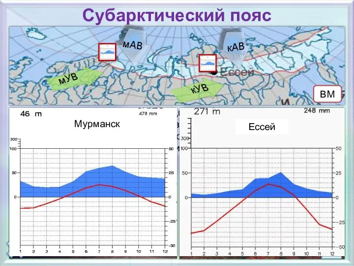 Субарктический пояс В субарктическом поясе холодный климат, большая часть атмосферных осадков