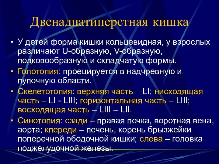 Двенадцатиперстная кишка У детей форма кишки кольцевидная, у взрослых различают U-образную,