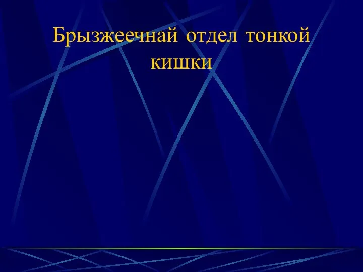 Брызжеечнай отдел тонкой кишки