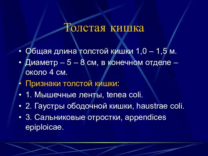 Толстая кишка Общая длина толстой кишки 1,0 – 1,5 м. Диаметр