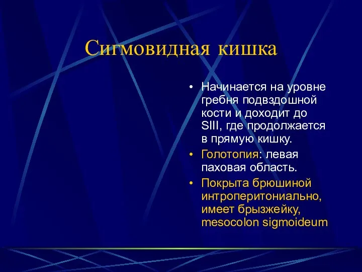 Сигмовидная кишка Начинается на уровне гребня подвздошной кости и доходит до