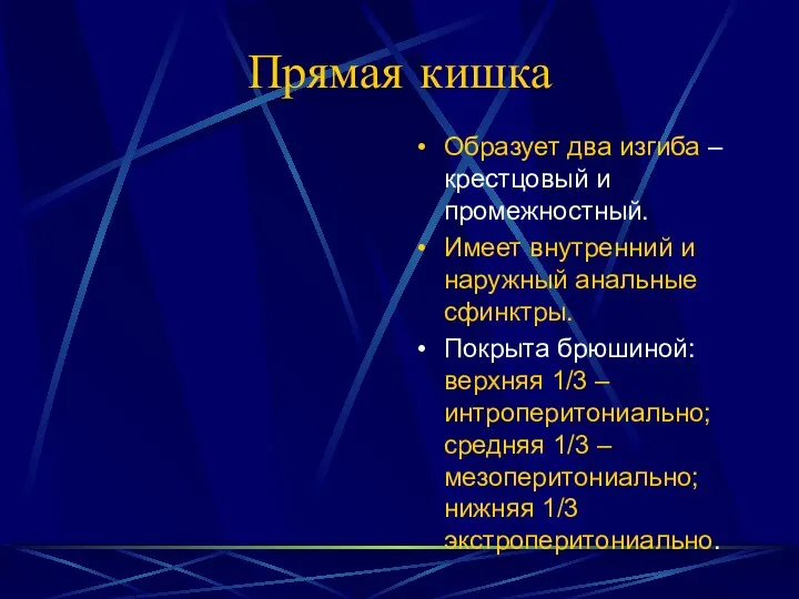 Прямая кишка Образует два изгиба – крестцовый и промежностный. Имеет внутренний