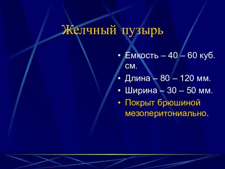 Желчный пузырь Емкость – 40 – 60 куб.см. Длина – 80