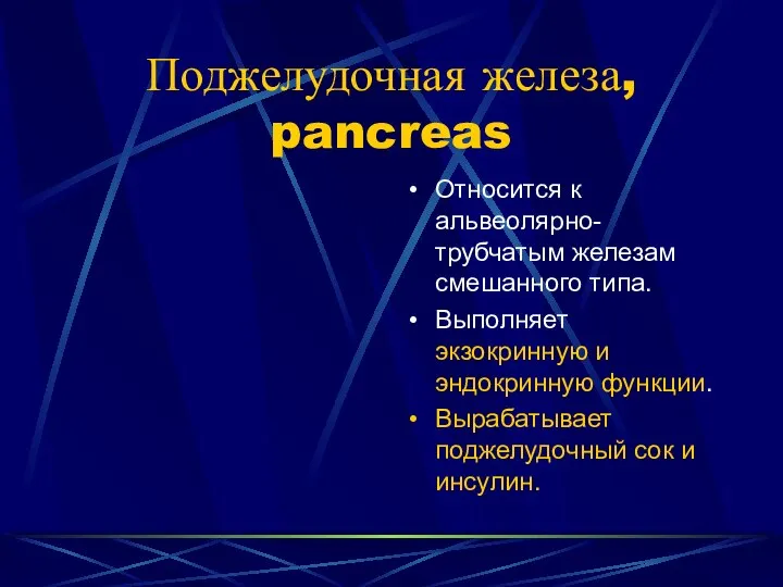 Поджелудочная железа, pancreas Относится к альвеолярно-трубчатым железам смешанного типа. Выполняет экзокринную