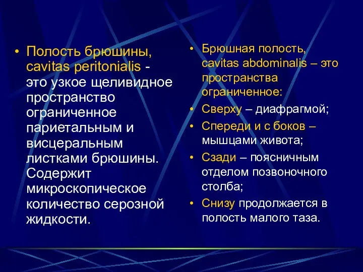 Полость брюшины, cavitas peritonialis - это узкое щеливидное пространство ограниченное париетальным