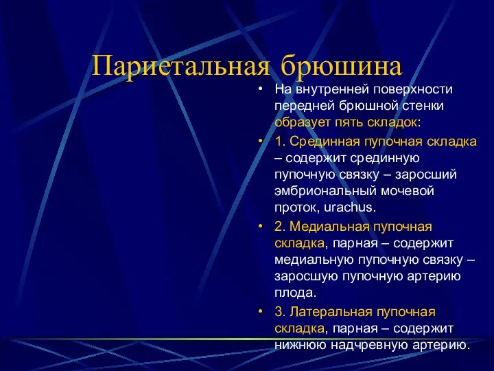 Париетальная брюшина На внутренней поверхности передней брюшной стенки образует пять складок: