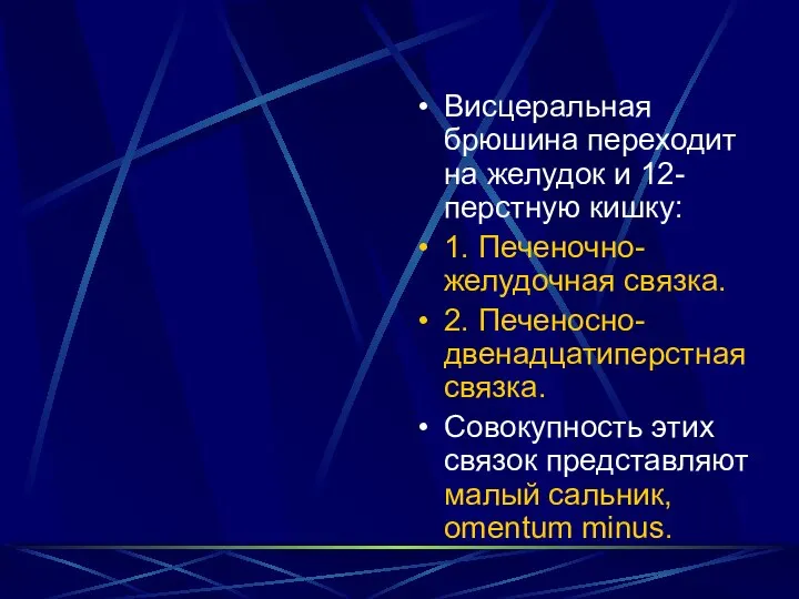 Висцеральная брюшина переходит на желудок и 12-перстную кишку: 1. Печеночно-желудочная связка.