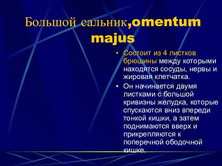 Большой сальник,omentum majus Состоит из 4 листков брюшины между которыми находятся