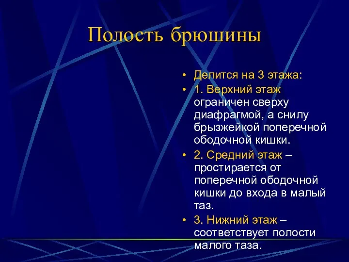 Полость брюшины Делится на 3 этажа: 1. Верхний этаж ограничен сверху