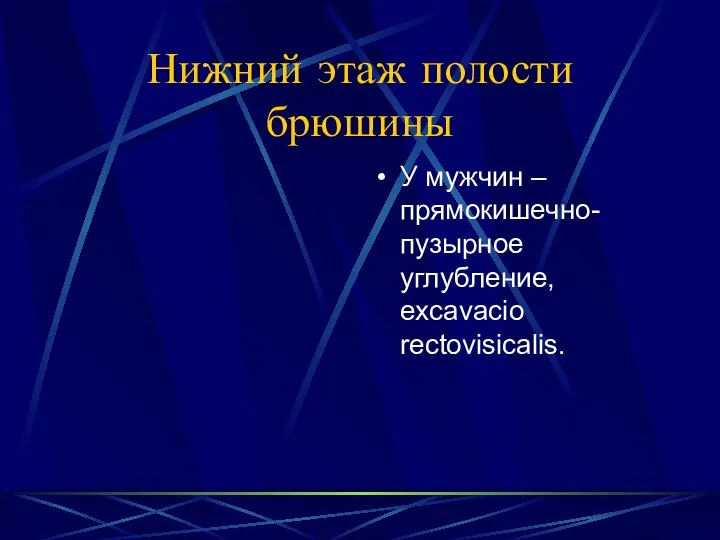 Нижний этаж полости брюшины У мужчин – прямокишечно- пузырное углубление, excavacio rectovisicalis.