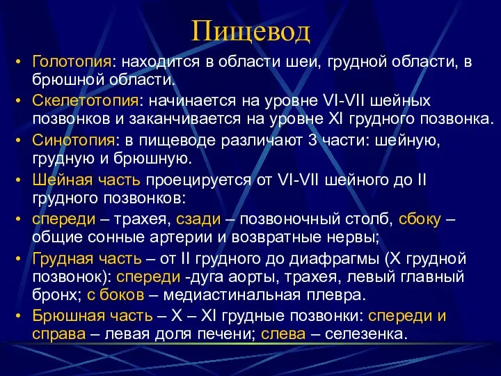 Пищевод Голотопия: находится в области шеи, грудной области, в брюшной области.