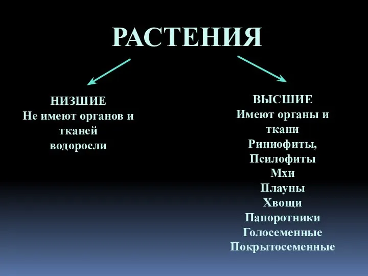 РАСТЕНИЯ НИЗШИЕ Не имеют органов и тканей водоросли ВЫСШИЕ Имеют органы