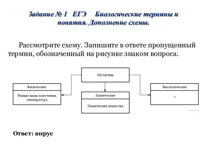 Рассмотрите схему. Запишите в ответе пропущенный термин, обозначенный на рисунке знаком