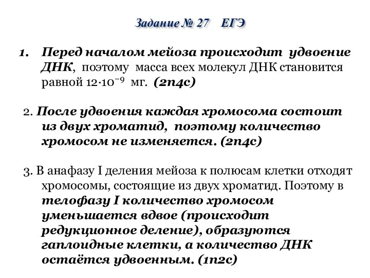 Перед началом мейоза происходит удвоение ДНК, поэтому масса всех молекул ДНК