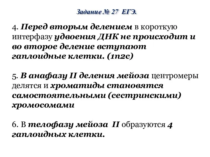 Задание № 27 ЕГЭ. 4. Перед вторым делением в короткую интерфазу