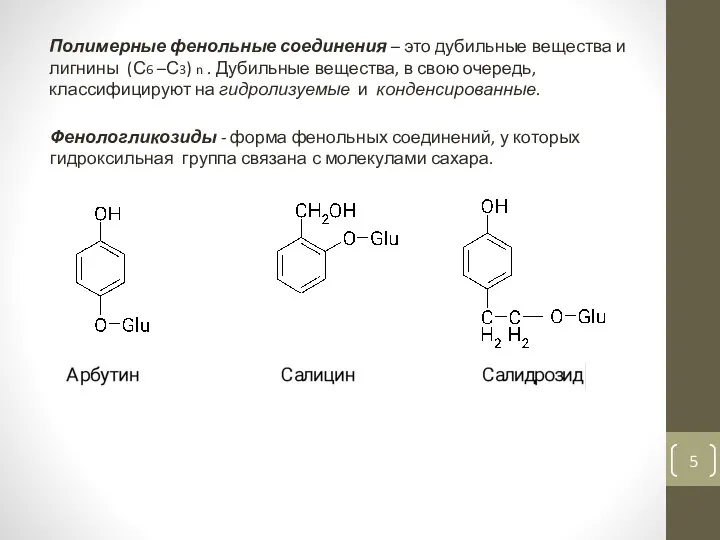 Полимерные фенольные соединения – это дубильные вещества и лигнины (С6 –С3)