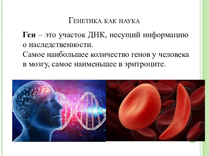 Генетика как наука Ген – это участок ДНК, несущий информацию о