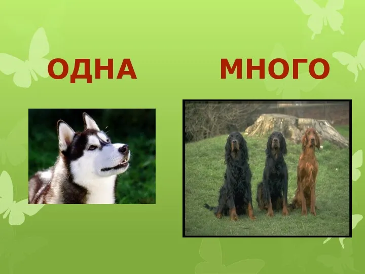 ОДНА МНОГО