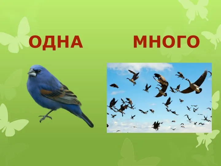 ОДНА МНОГО