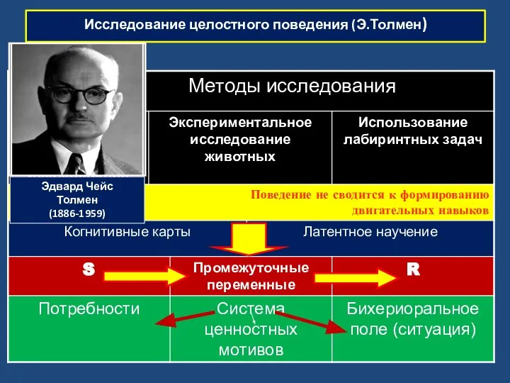 Исследование целостного поведения (Э.Толмен)