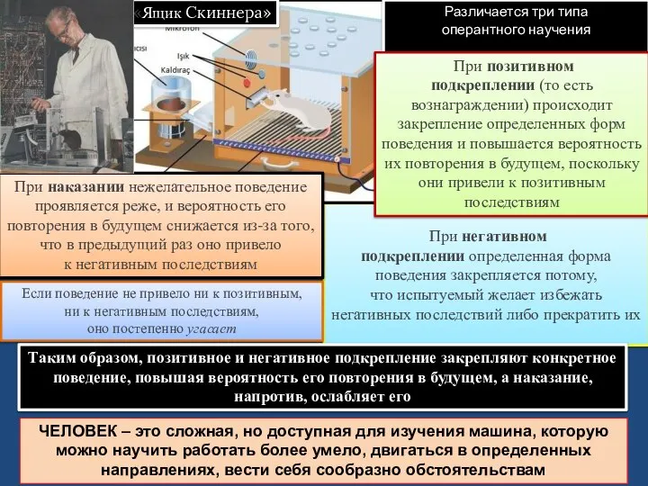 При негативном подкреплении определенная форма поведения закрепляется потому, что испытуемый желает