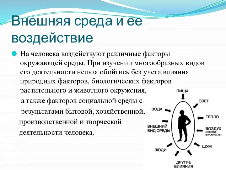 Внешняя среда и ее воздействие На человека воздействуют различные факторы окружающей