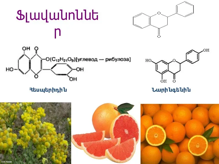 Ֆլավանոններ Հեսպերիդին Նարինգենին