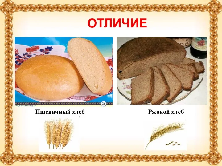 Пшеничный хлеб Ржаной хлеб ОТЛИЧИЕ