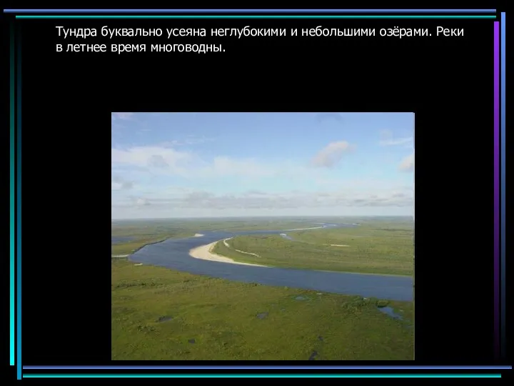 Тундра буквально усеяна неглубокими и небольшими озёрами. Реки в летнее время многоводны.