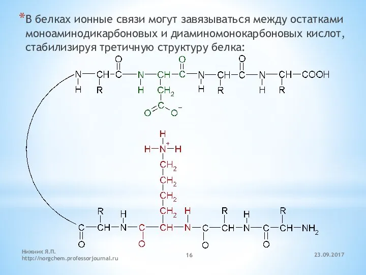 23.09.2017 Нижник Я.П. http://norgchem.professorjournal.ru В белках ионные связи могут завязываться между