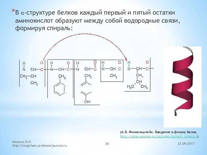 23.09.2017 Нижник Я.П. http://norgchem.professorjournal.ru В α-структуре белков каждый первый и пятый