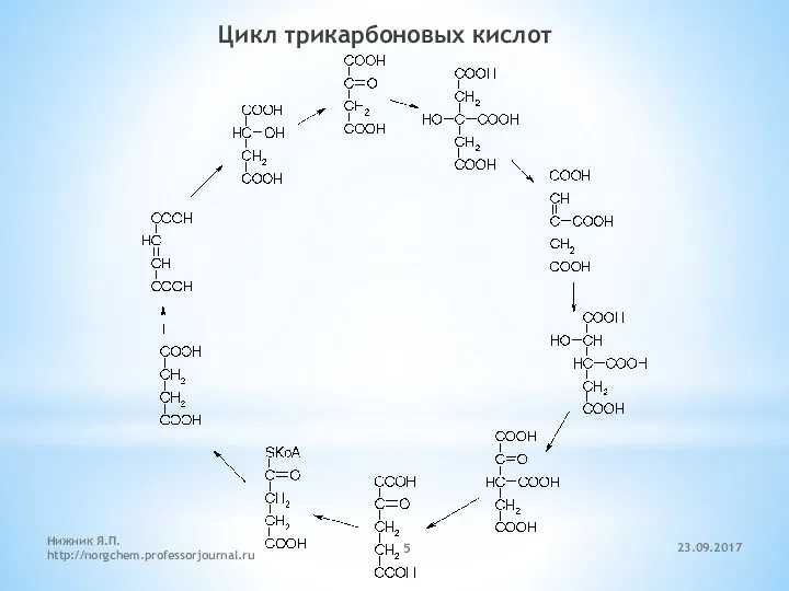 23.09.2017 Нижник Я.П. http://norgchem.professorjournal.ru Цикл трикарбоновых кислот