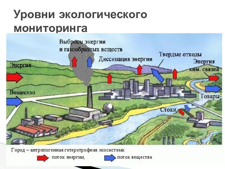 Уровни экологического мониторинга