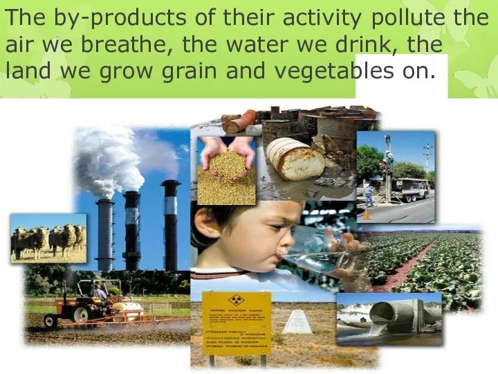 The by-products of their activity pollute the air we breathe, the