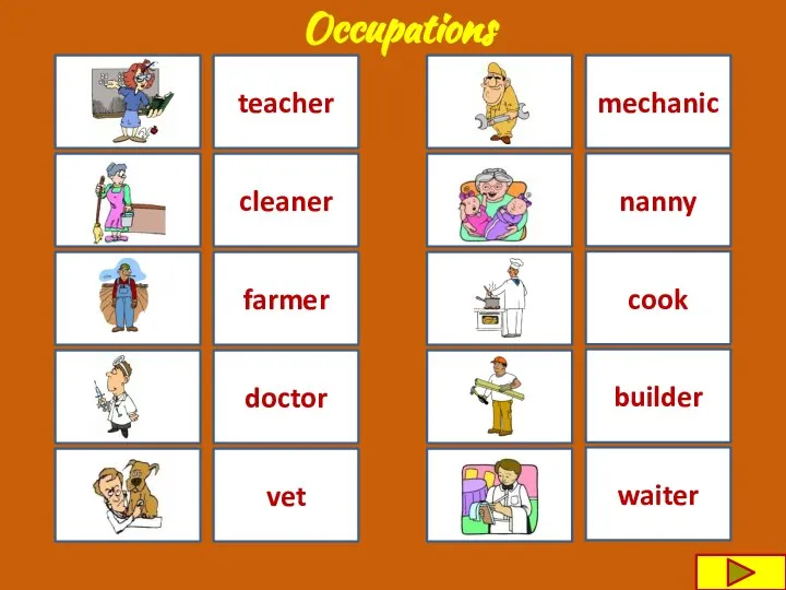 cook teacher vet cleaner builder doctor farmer mechanic nanny waiter Occupations