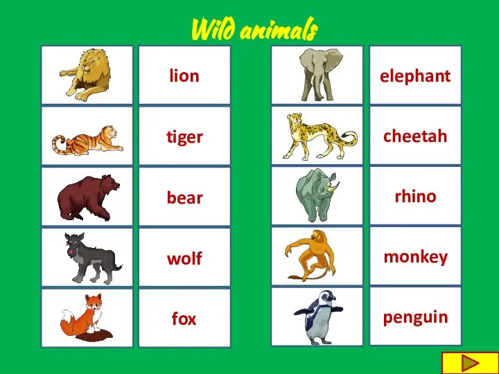 cheetah fox bear penguin lion monkey tiger wolf rhino elephant Wild animals