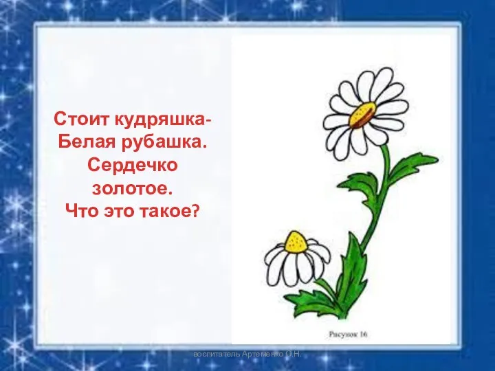 Стоит кудряшка- Белая рубашка. Сердечко золотое. Что это такое? воспитатель Артеменко О.Н.