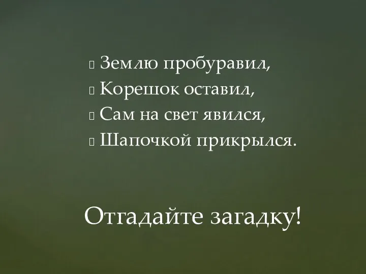 Землю пробуравил, Корешок оставил, Сам на свет явился, Шапочкой прикрылся. Отгадайте загадку!