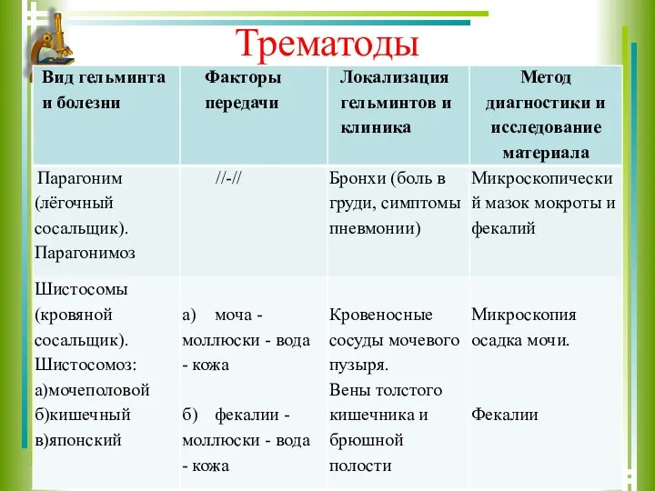 Трематоды