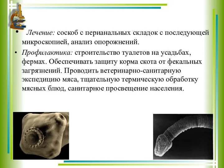 Лечение: соскоб с перианальных складок с последующей микроскопией, анализ опорожнений. Профилактика: