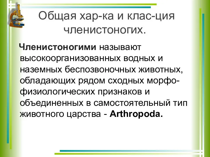 Членистоногими называют высокоорганизованных водных и наземных беспозвоночных животных, обладающих рядом сходных