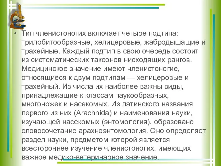 Тип членистоногих включает четыре подтипа: трилобитообразные, хелицеровые, жабродышащие и трахейные. Каждый