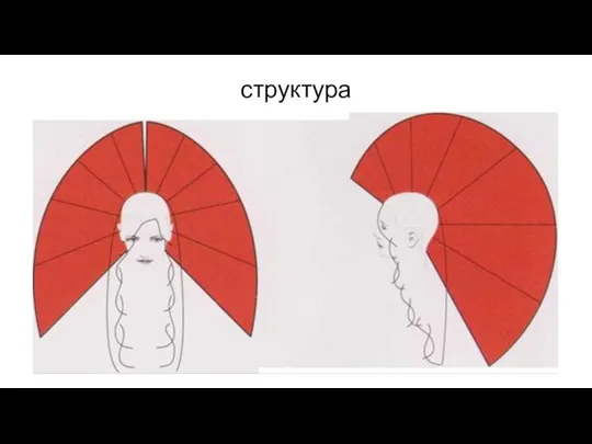 структура