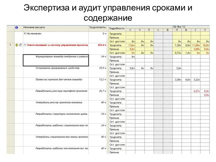 Экспертиза и аудит управления сроками и содержание