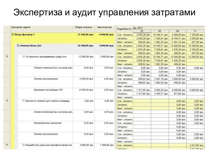 Экспертиза и аудит управления затратами