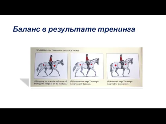 Баланс в результате тренинга