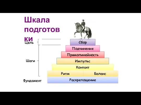 Шкала подготовки