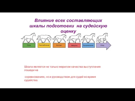 Влияние всех составляющих шкалы подготовки на судейскую оценку Шкала является не