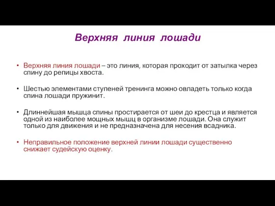 Верхняя линия лошади – это линия, которая проходит от затылка через